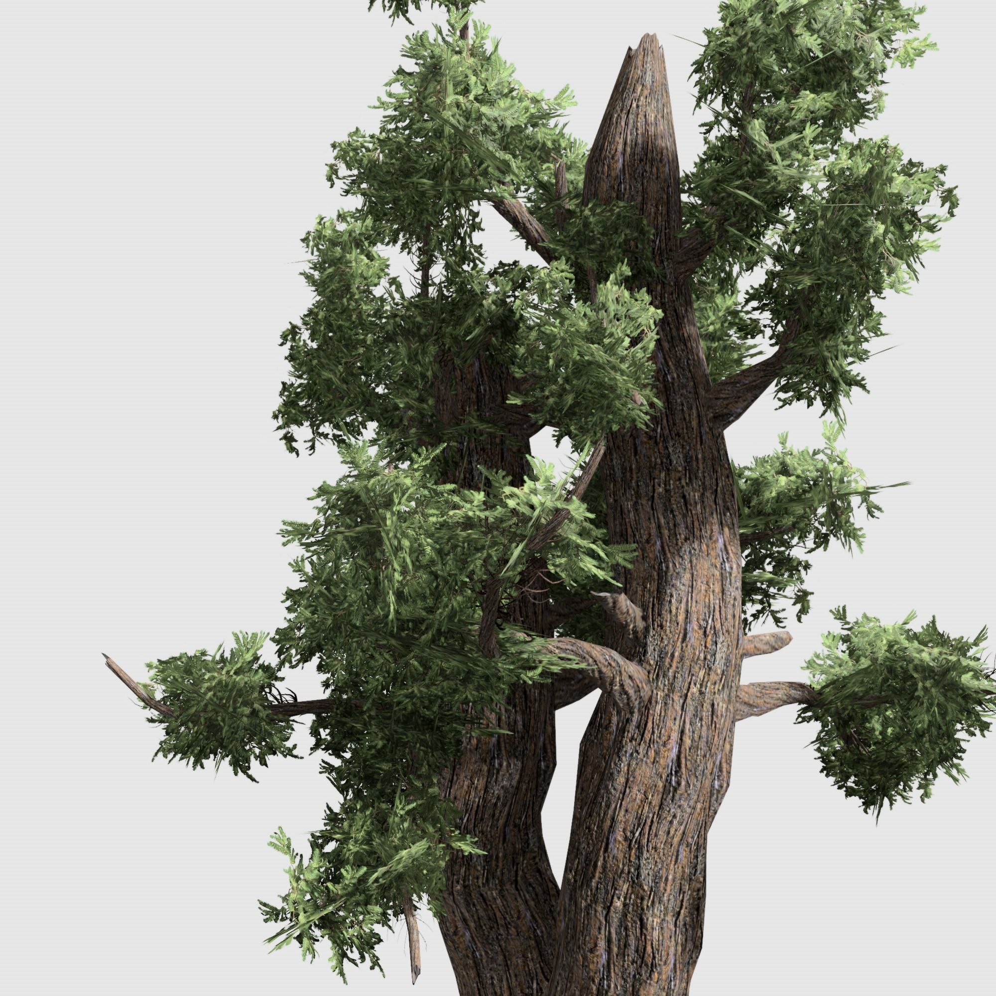 Giant Red wood tree collection 9 trees Models in the scene Low-poly 3D model_15