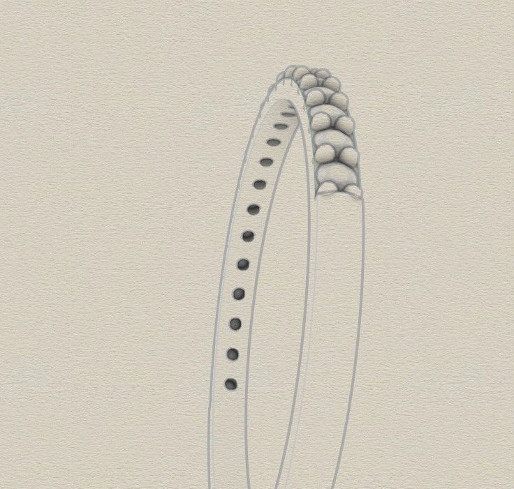 Model 243 Pave Ring 8half US Size  3D print model_12