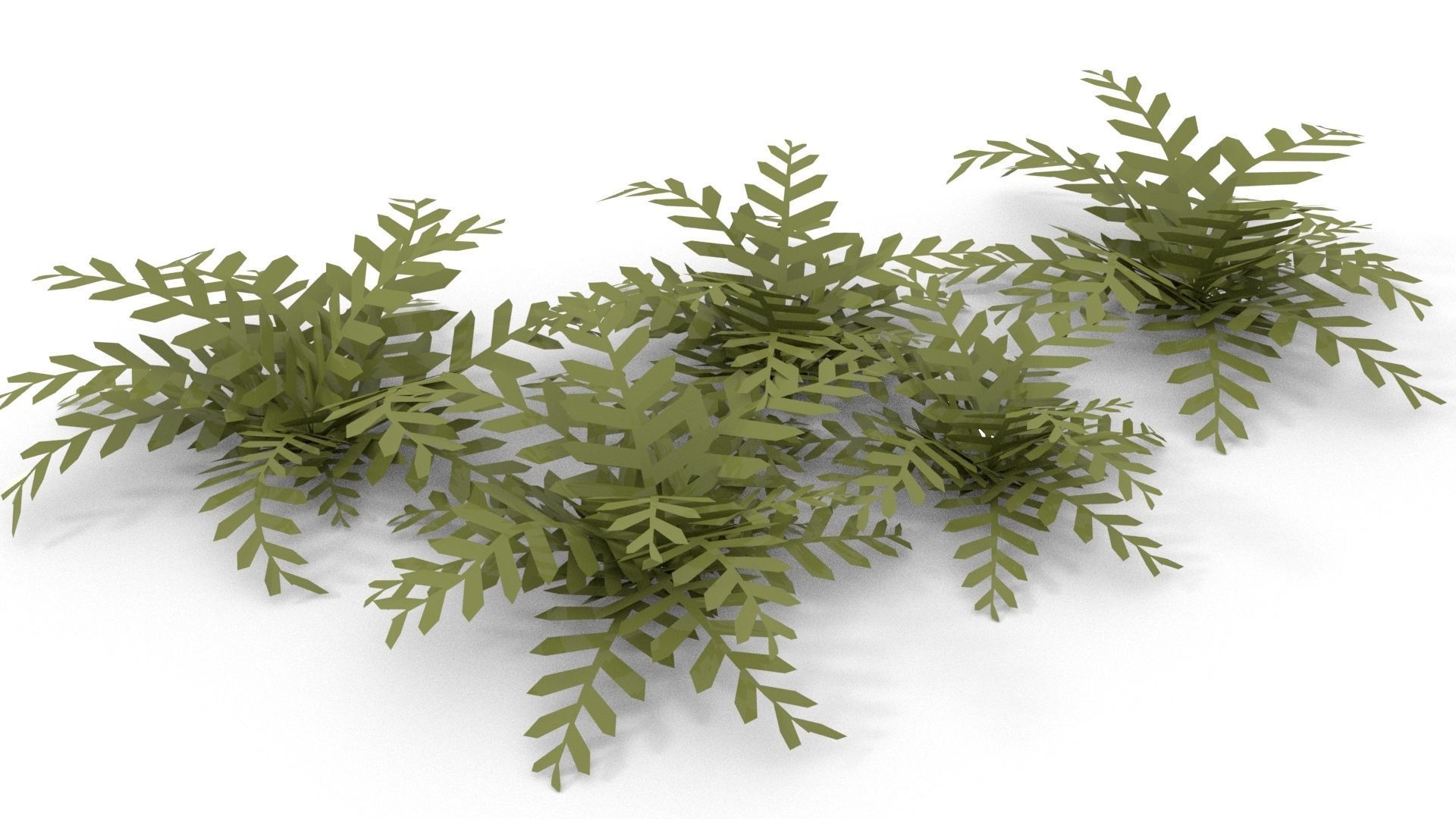 Low-poly Fern bush plant 3D model_4