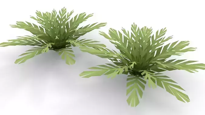 Low-poly Fern bush plant 3D model