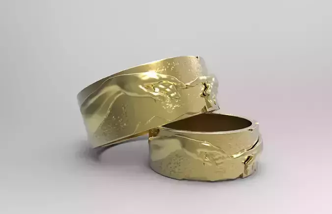 Wedding rings Creation of Adam 3D print model