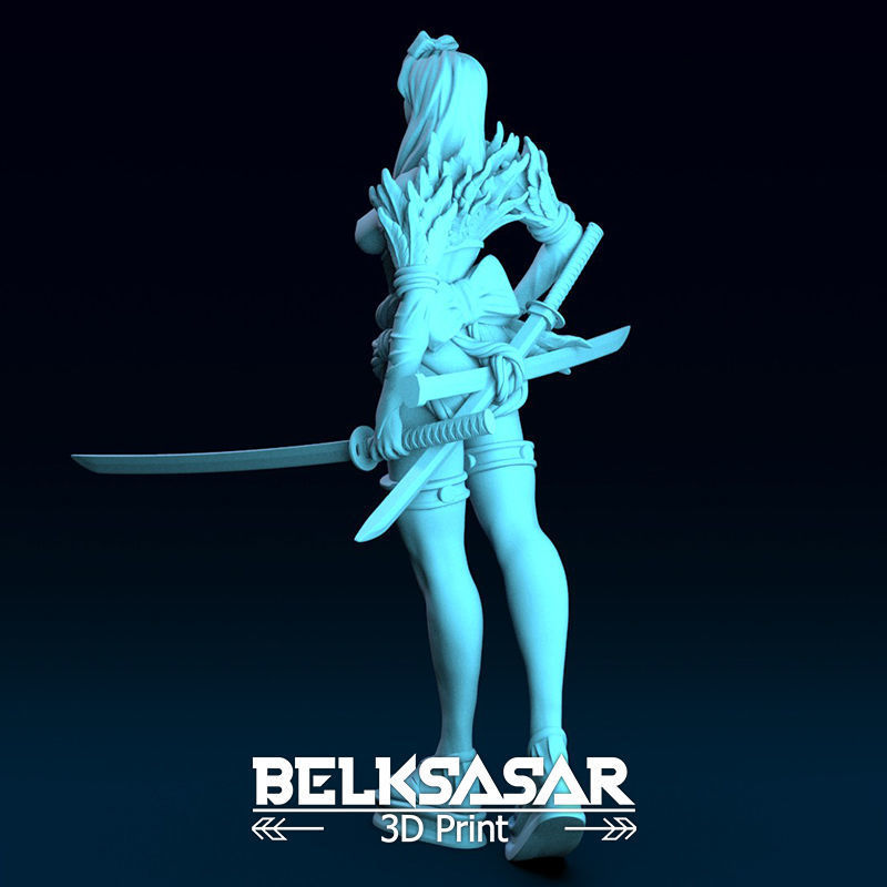 Girl Shinobi Whit Katana Normal and Topless 3D print model_6
