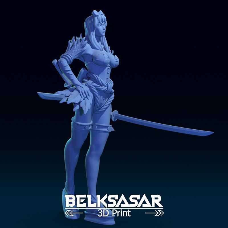 Girl Shinobi Whit Katana Normal and Topless 3D print model_39
