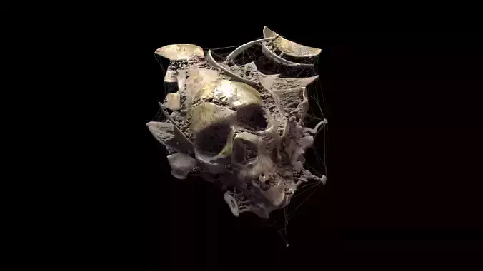 Broken Skull with Spider webs 1