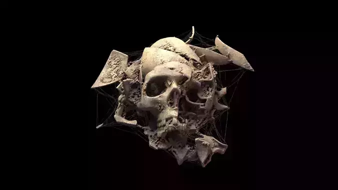 Broken Skull with Spider webs 2