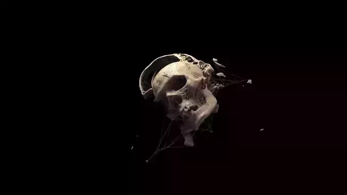 Broken Skull with Spider webs 3