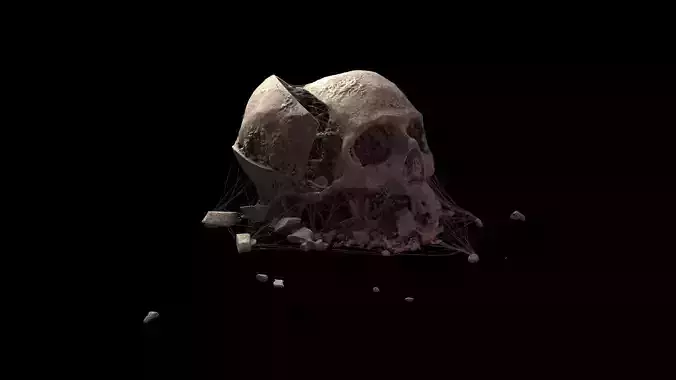 Broken Skull with Spider webs 4