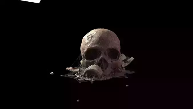 Broken Skull with Spider webs 6