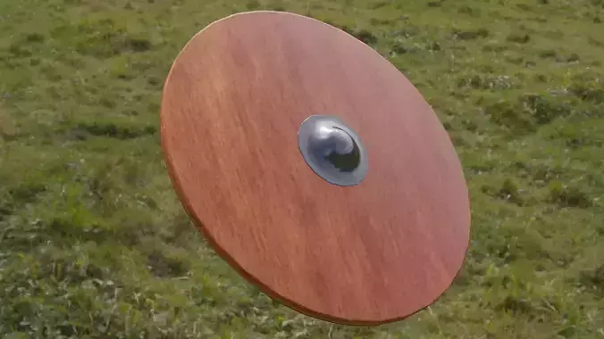 Viking Shield