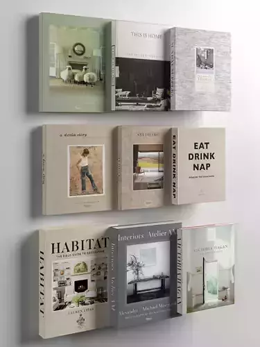 Books 11 3D model