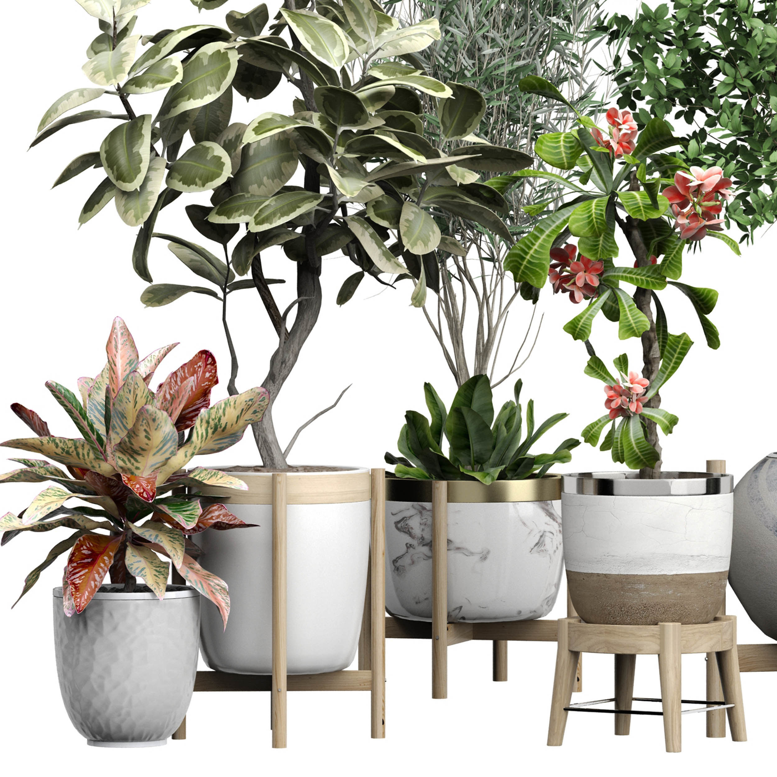 Flower Pack 176 3D model_1