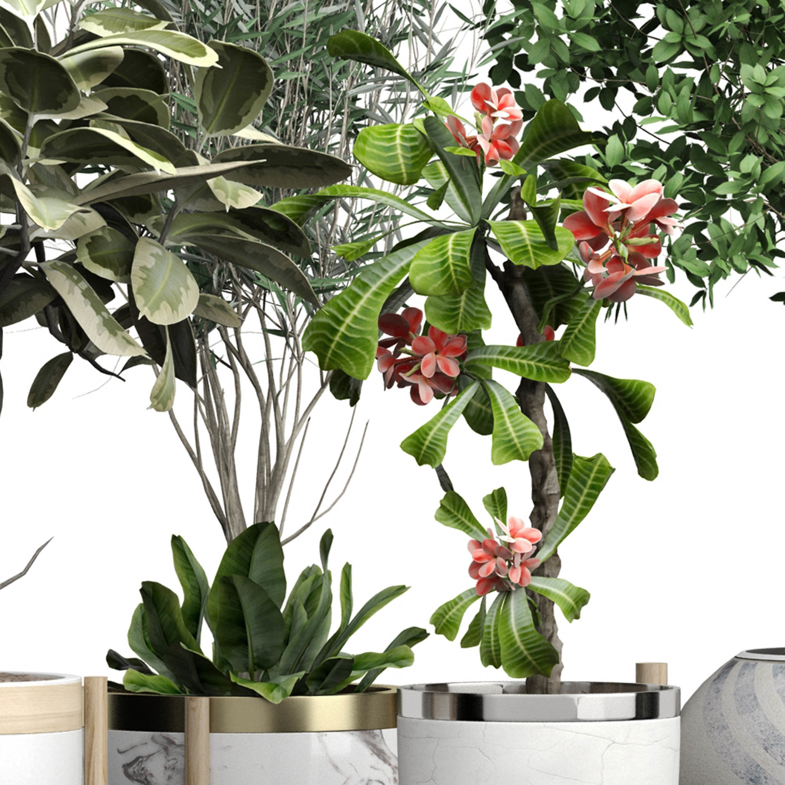 Flower Pack 176 3D model_2