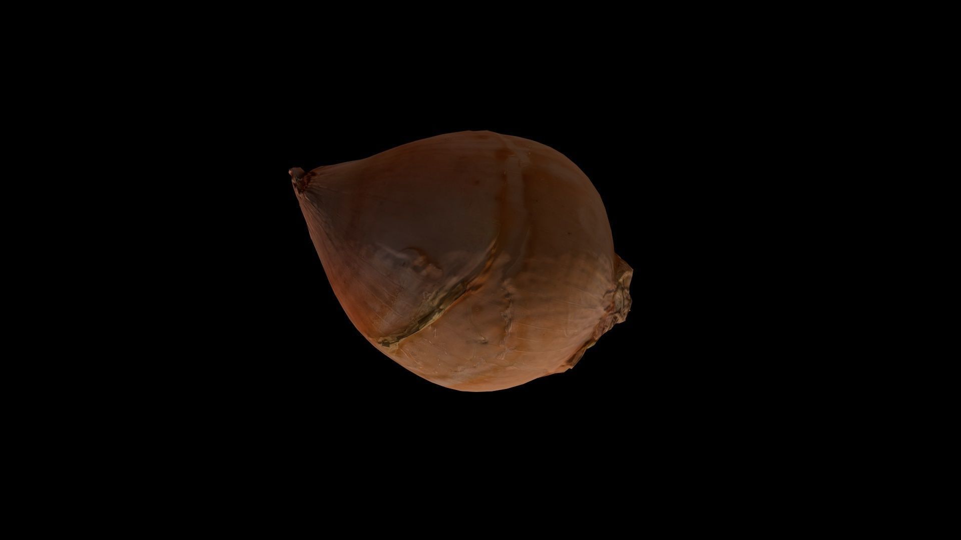 ONION - realistic Low-poly 3D model_6