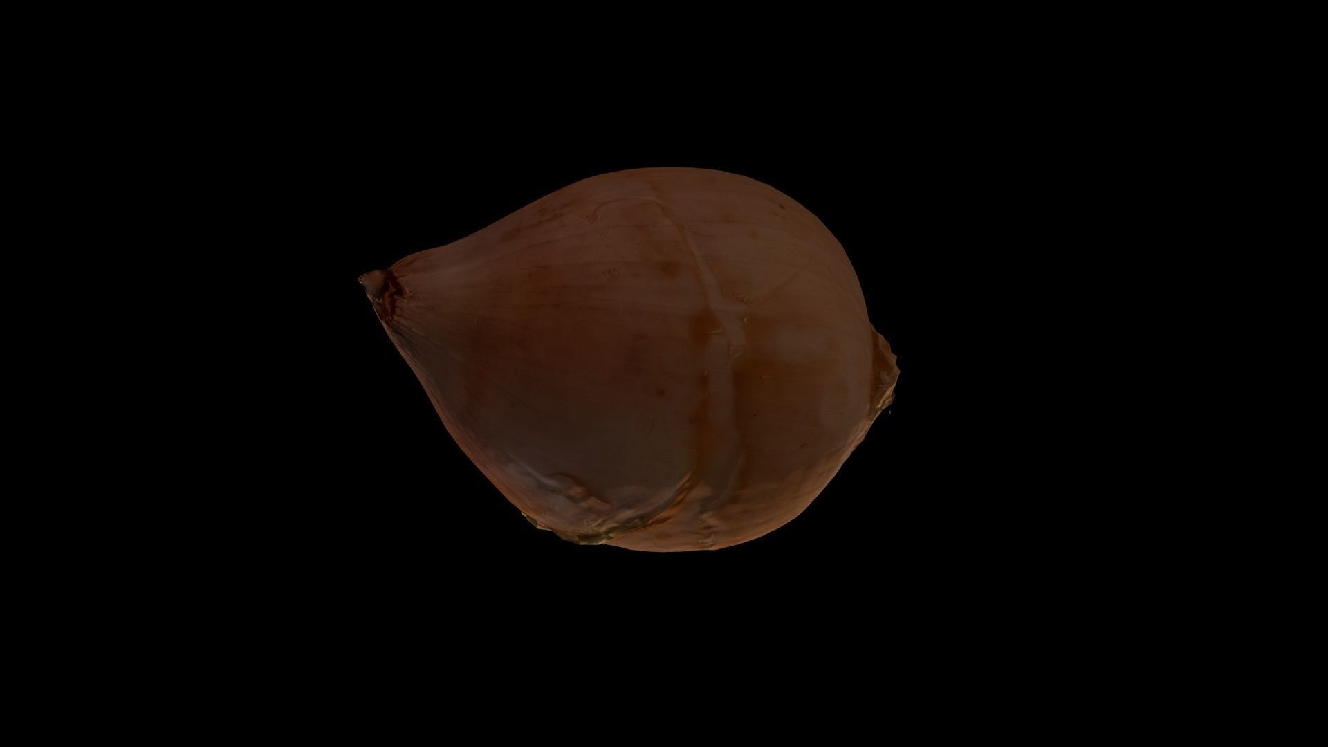 ONION - realistic Low-poly 3D model_7