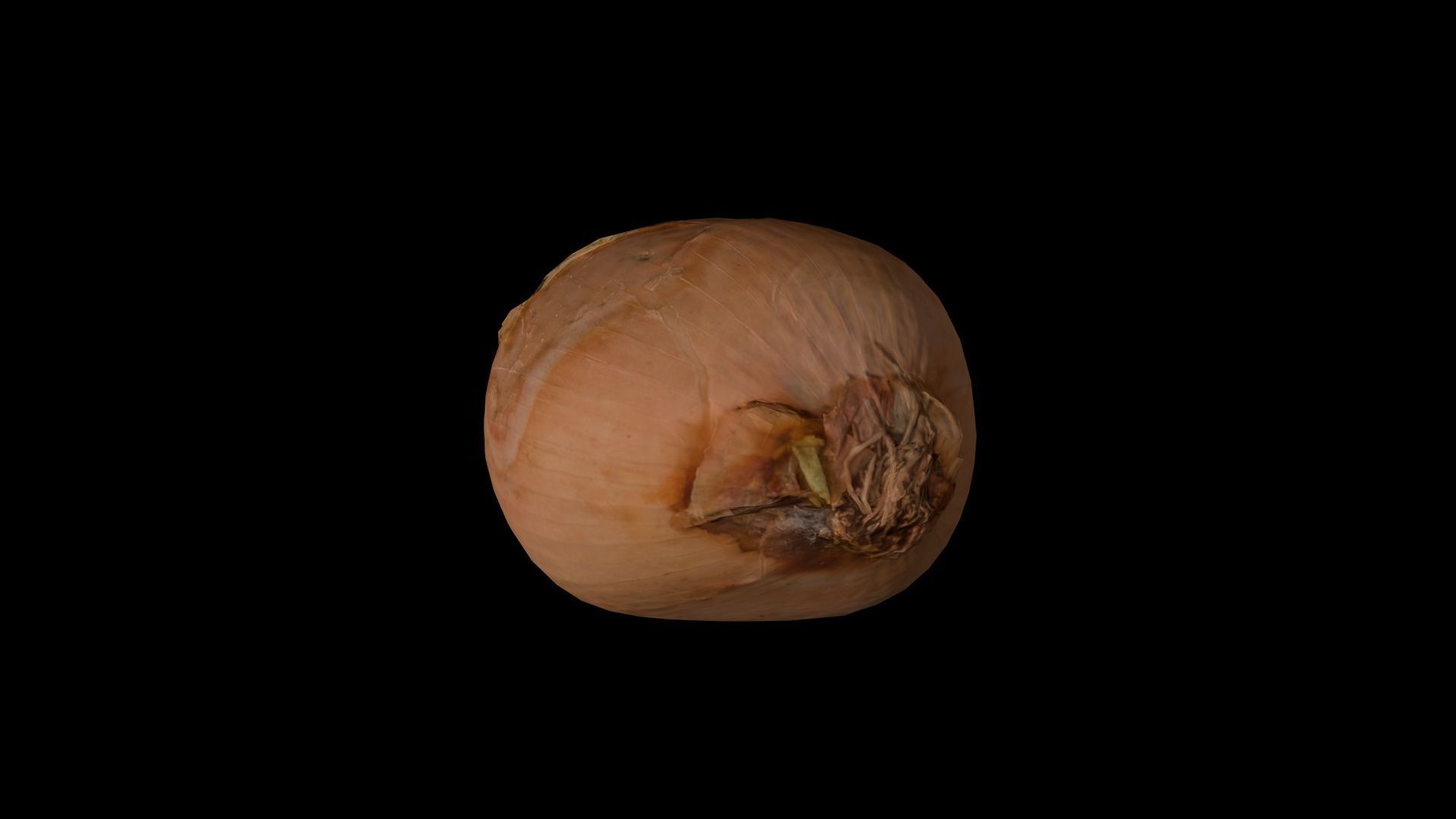 ONION - realistic Low-poly 3D model_11