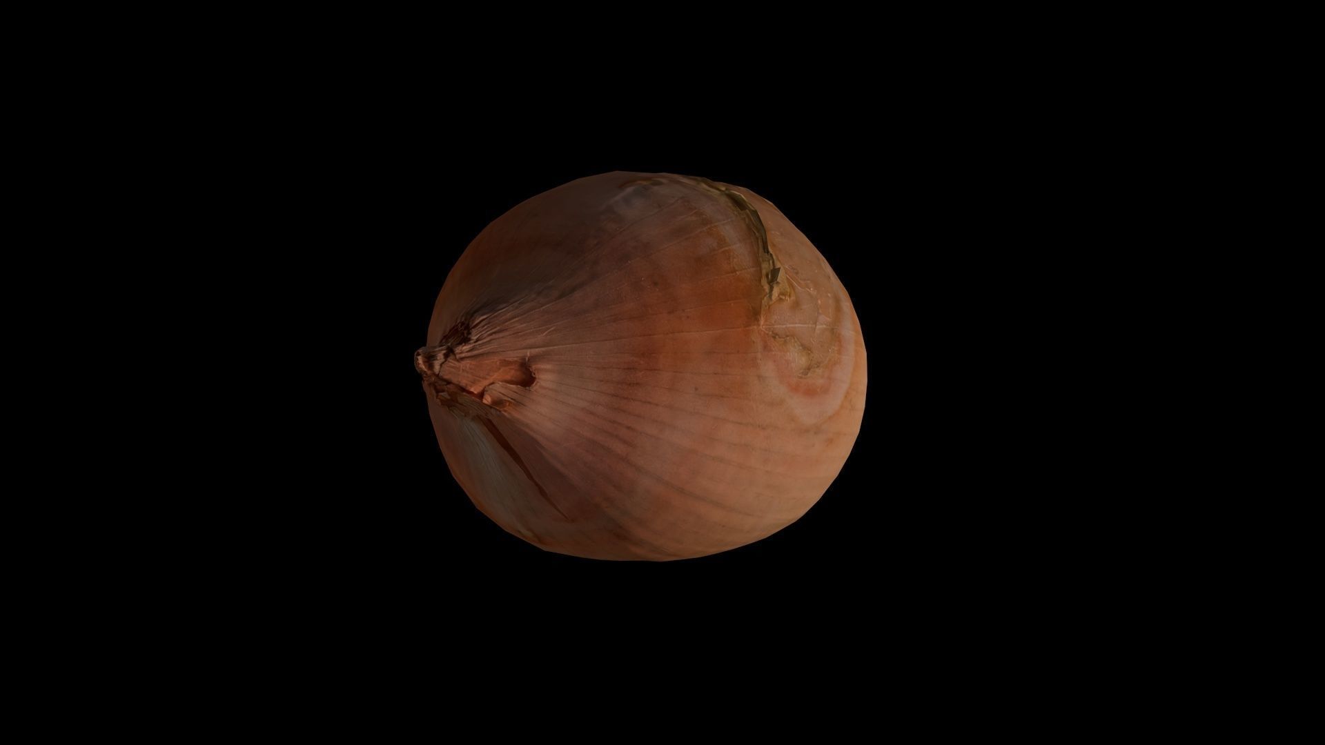 ONION - realistic Low-poly 3D model_4
