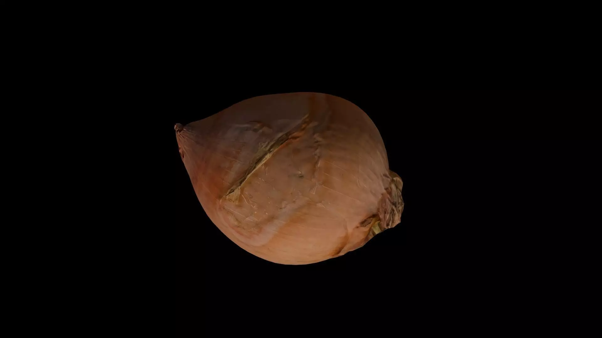 ONION - realistic Low-poly 3D model_0