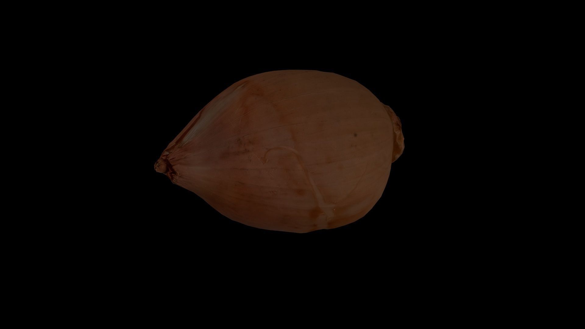 ONION - realistic Low-poly 3D model_8