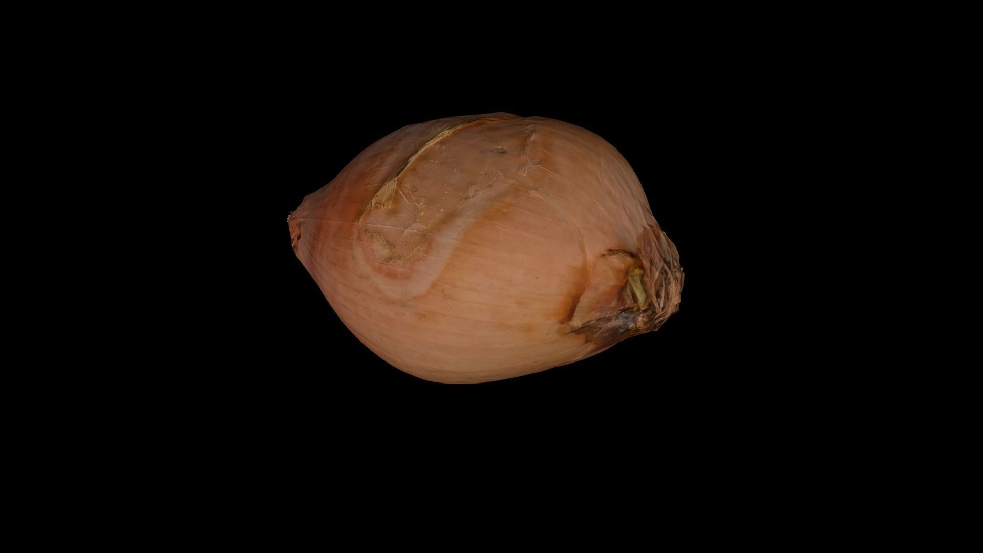 ONION - realistic Low-poly 3D model_2