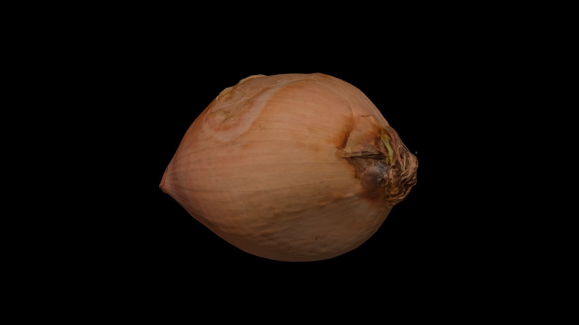 ONION - realistic Low-poly 3D model_1