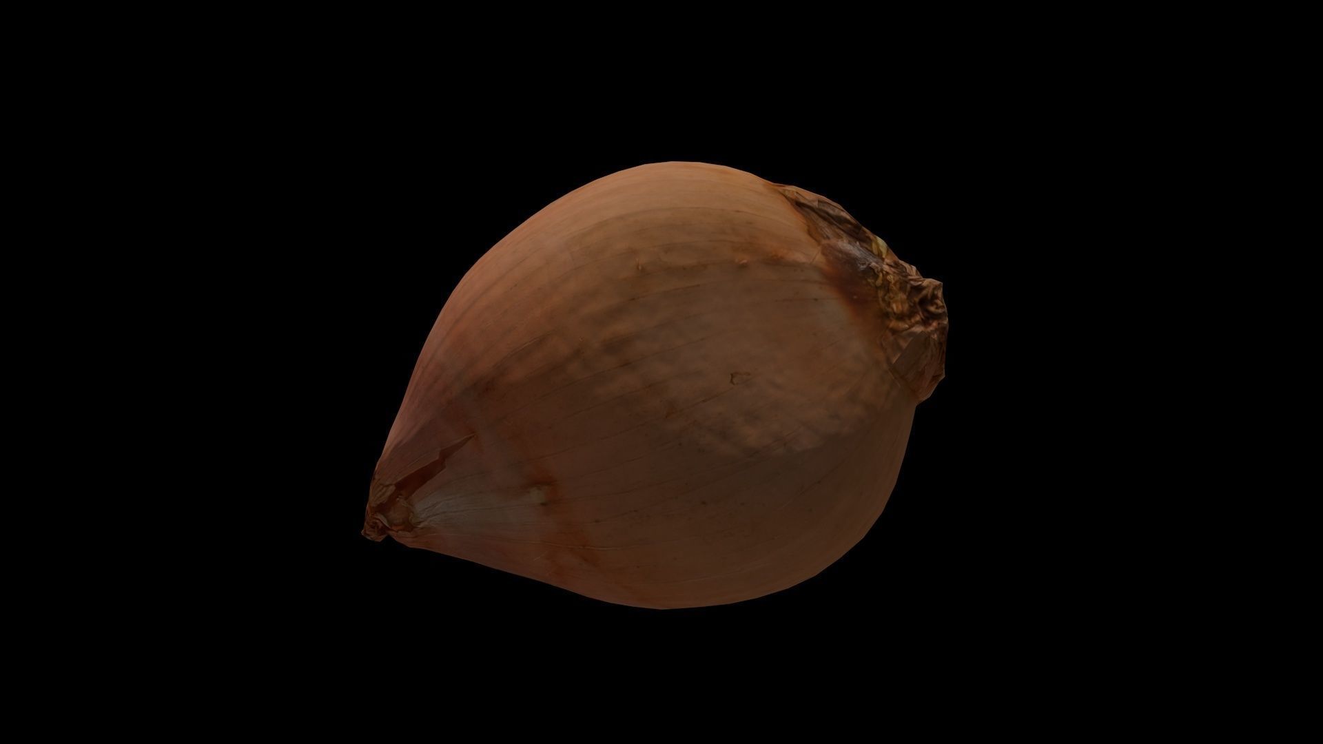 ONION - realistic Low-poly 3D model_10