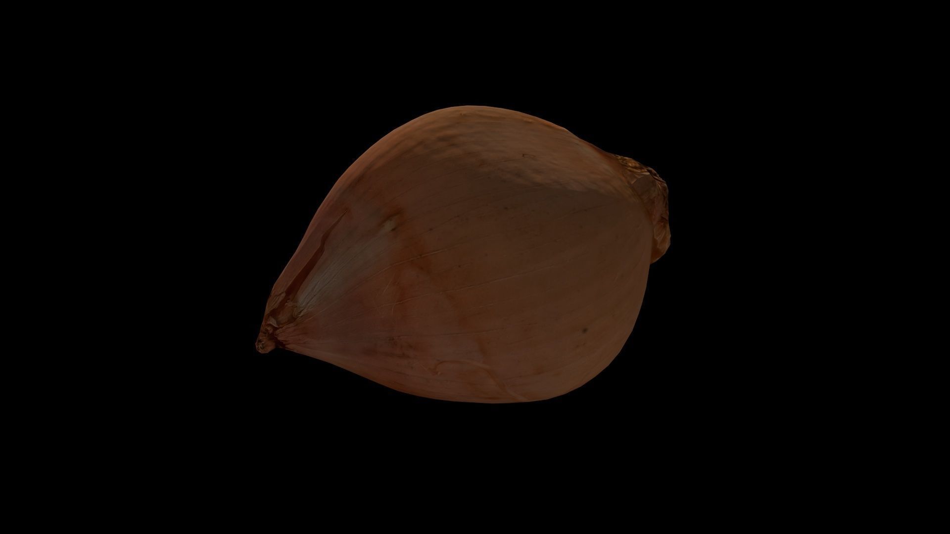 ONION - realistic Low-poly 3D model_9