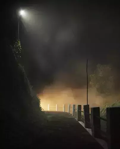 FOGGY NIGHT  3D model