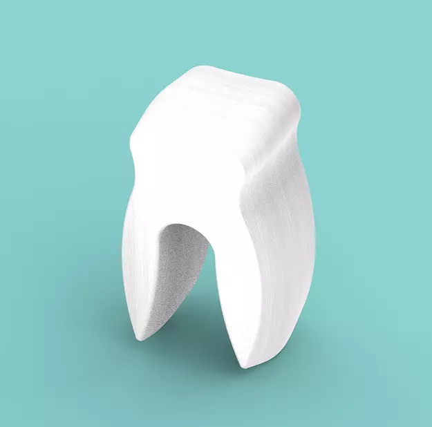 Human Dental Tooth 3D print model