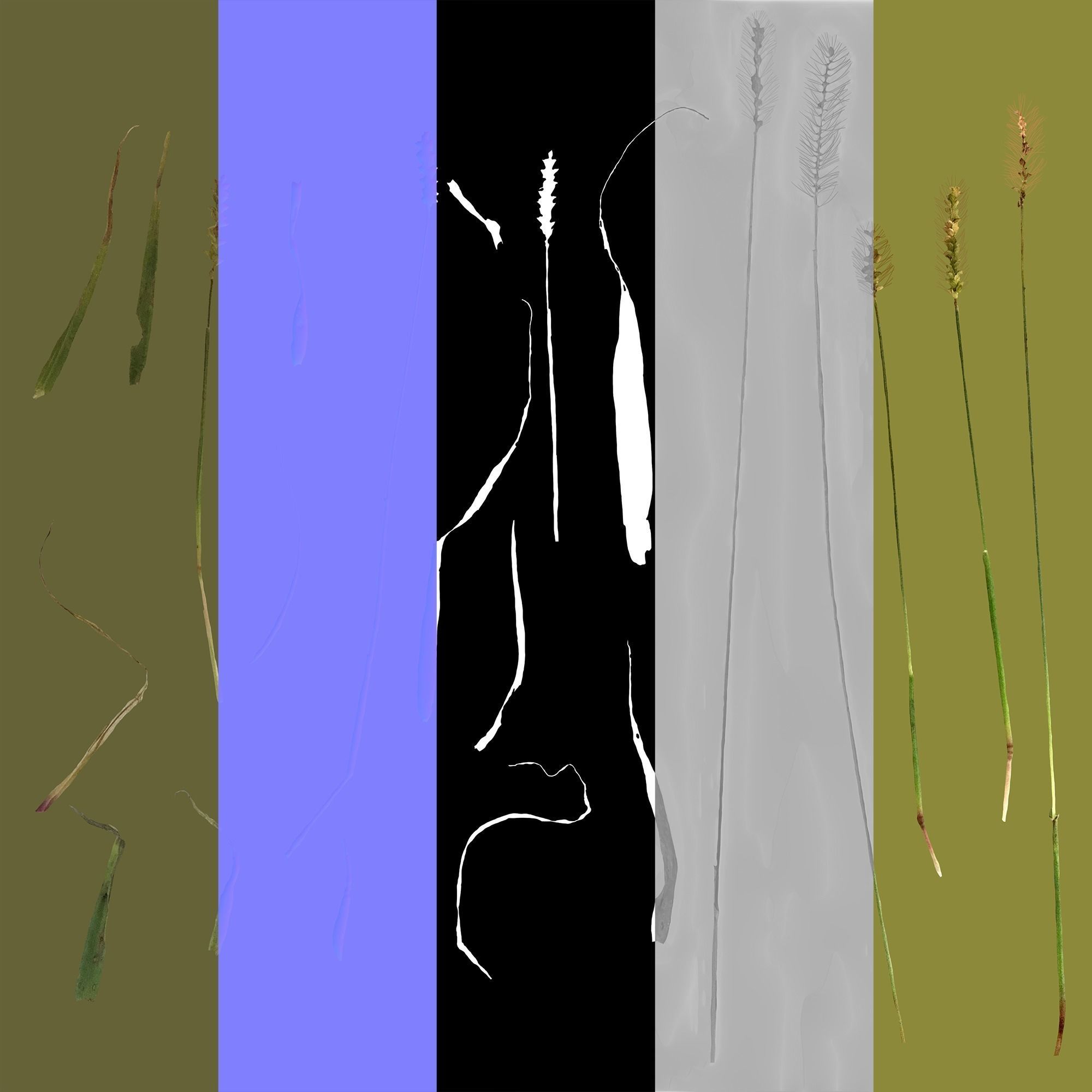 Pigeon Grass Pack 3D model_22