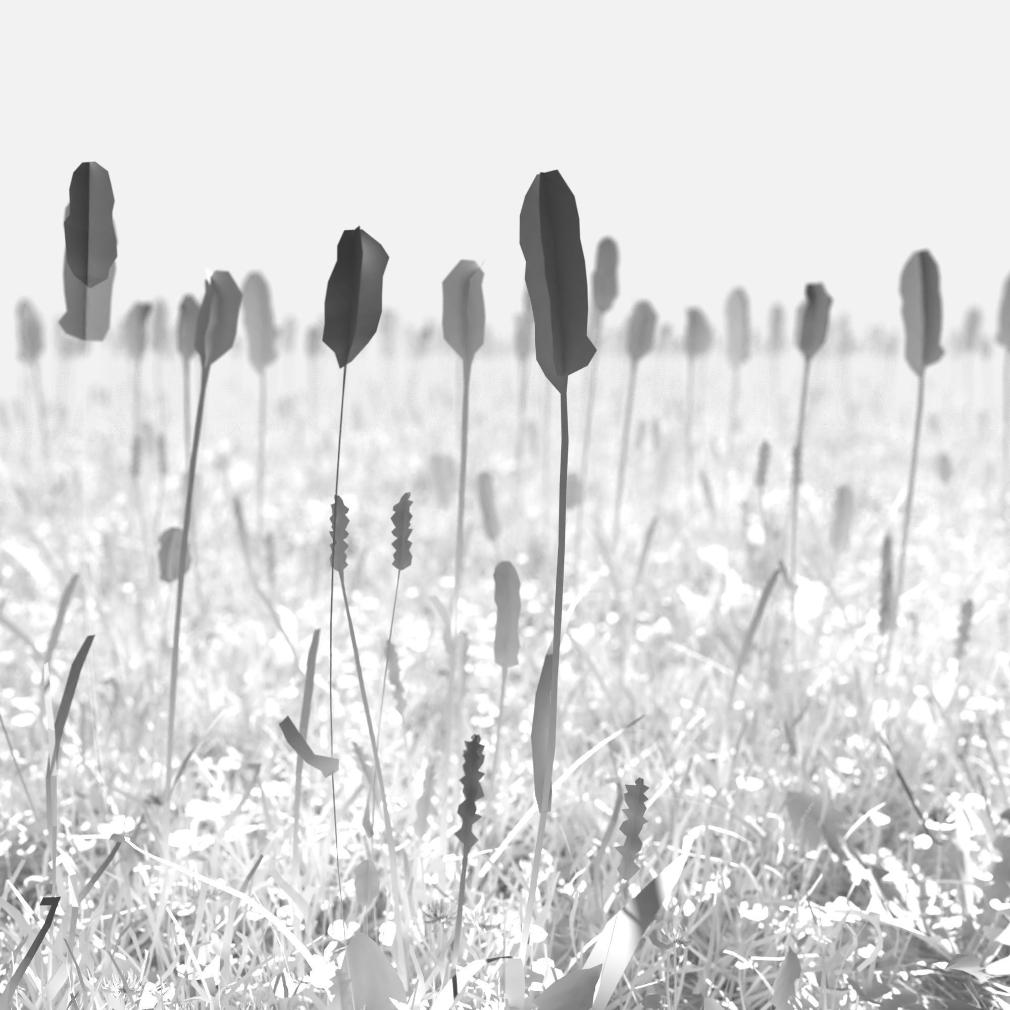 Pigeon Grass Pack 3D model_2