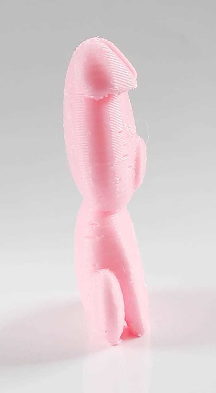 Pig Flat 3D print model_4