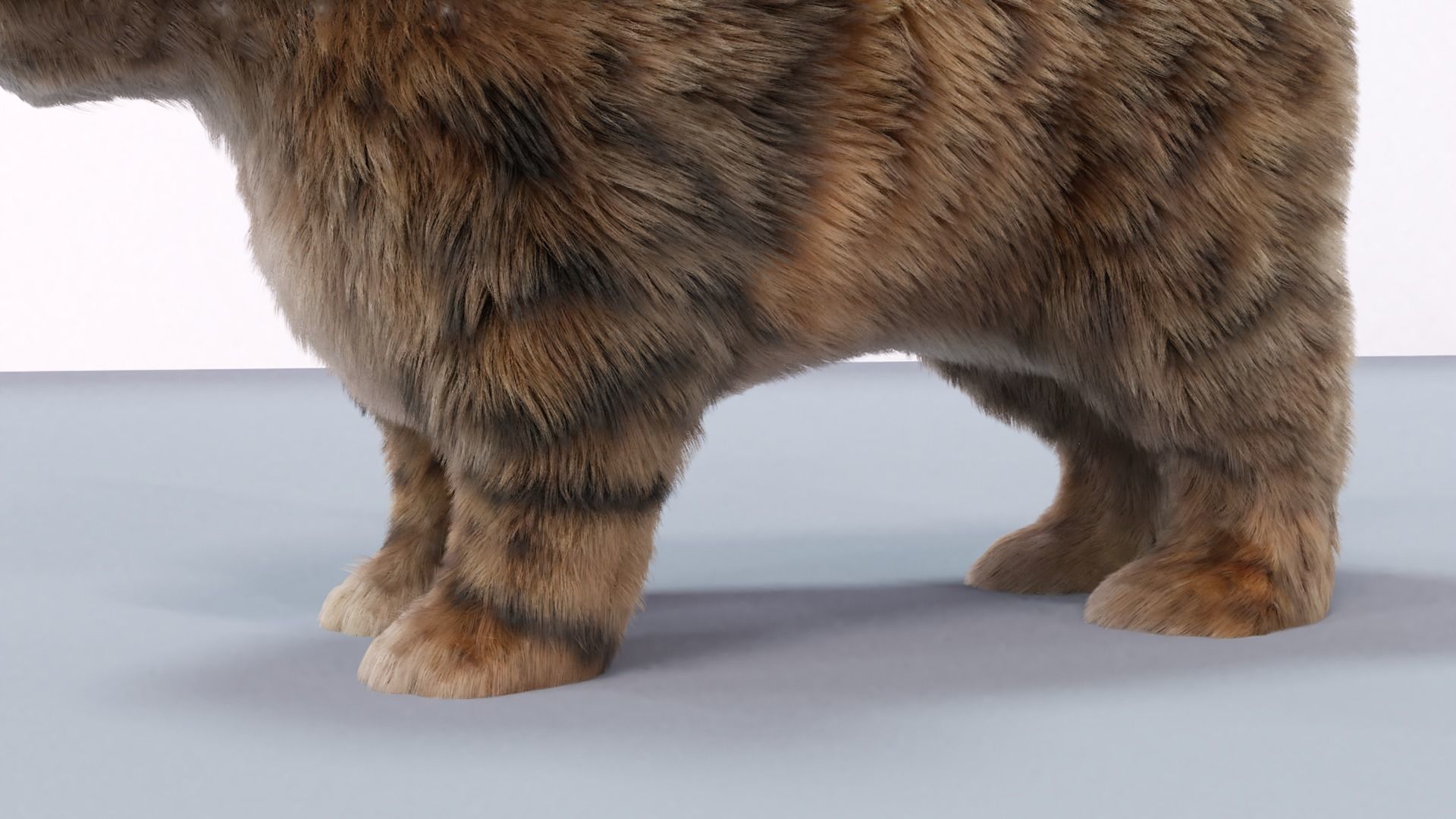 Fur Cute Cat kitten Gray 02 No Rig Low-poly 3D model_3