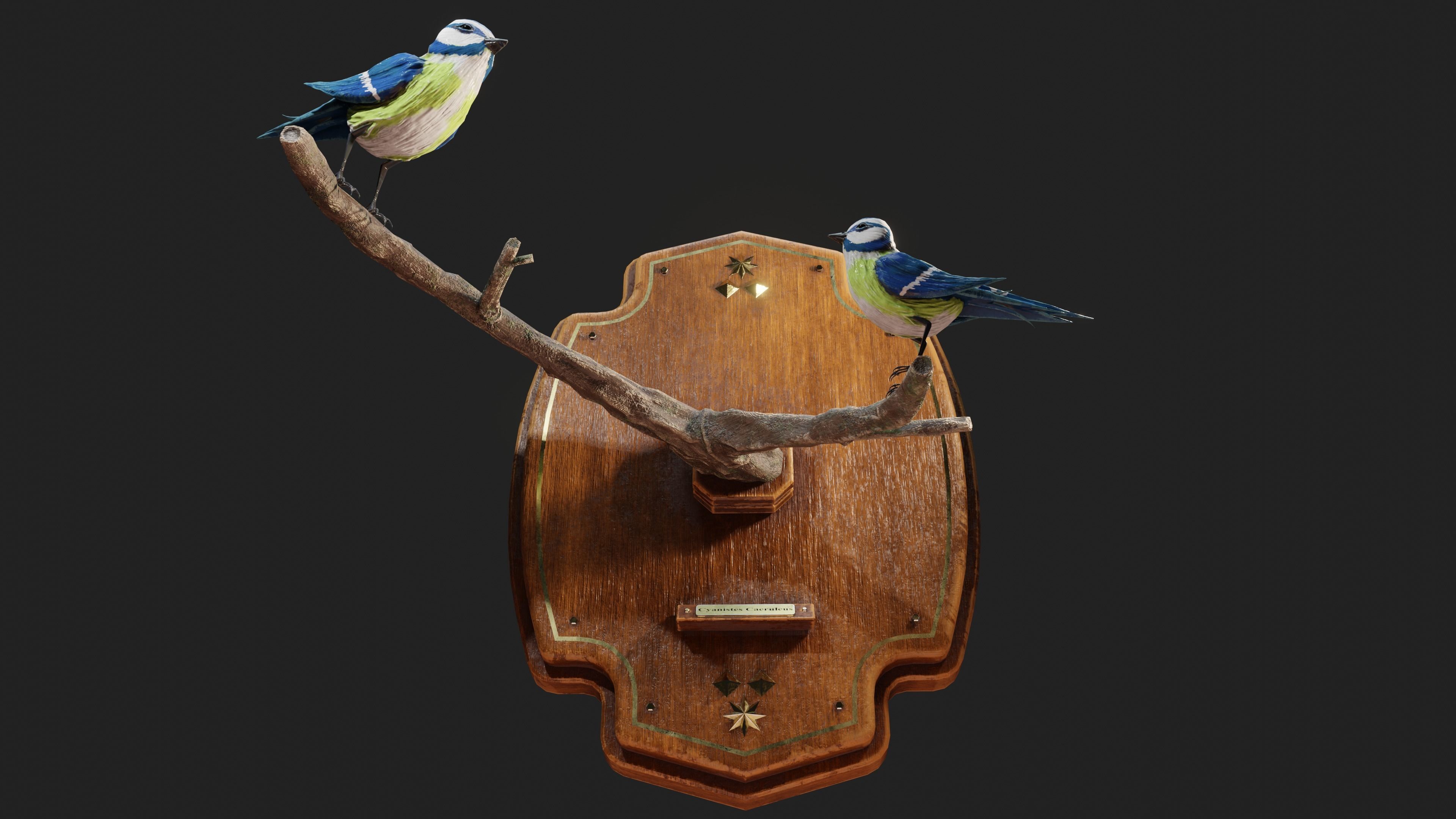 Stuffed Bird Wall Decoration  Low-poly 3D model_20