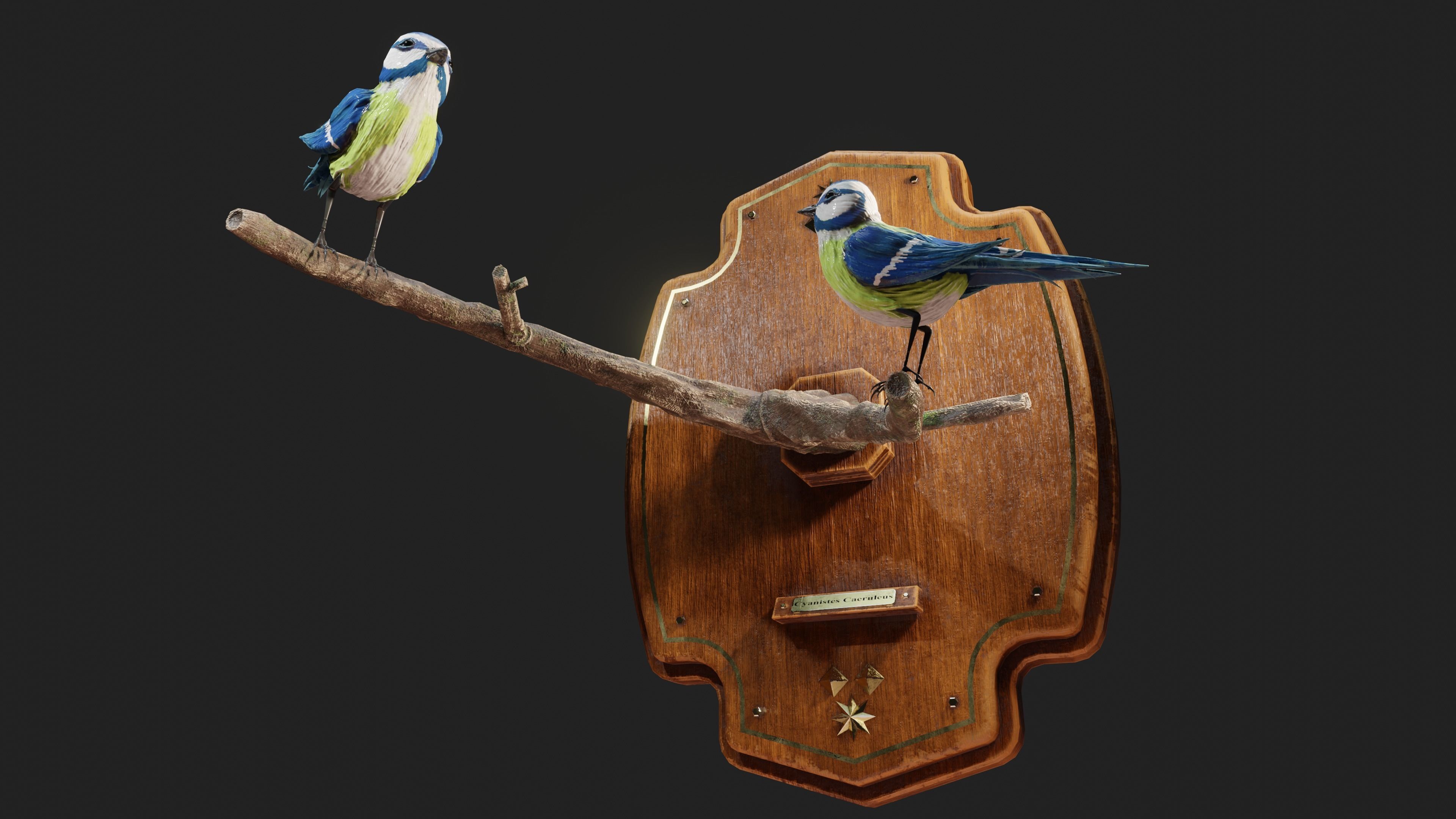 Stuffed Bird Wall Decoration  Low-poly 3D model_12