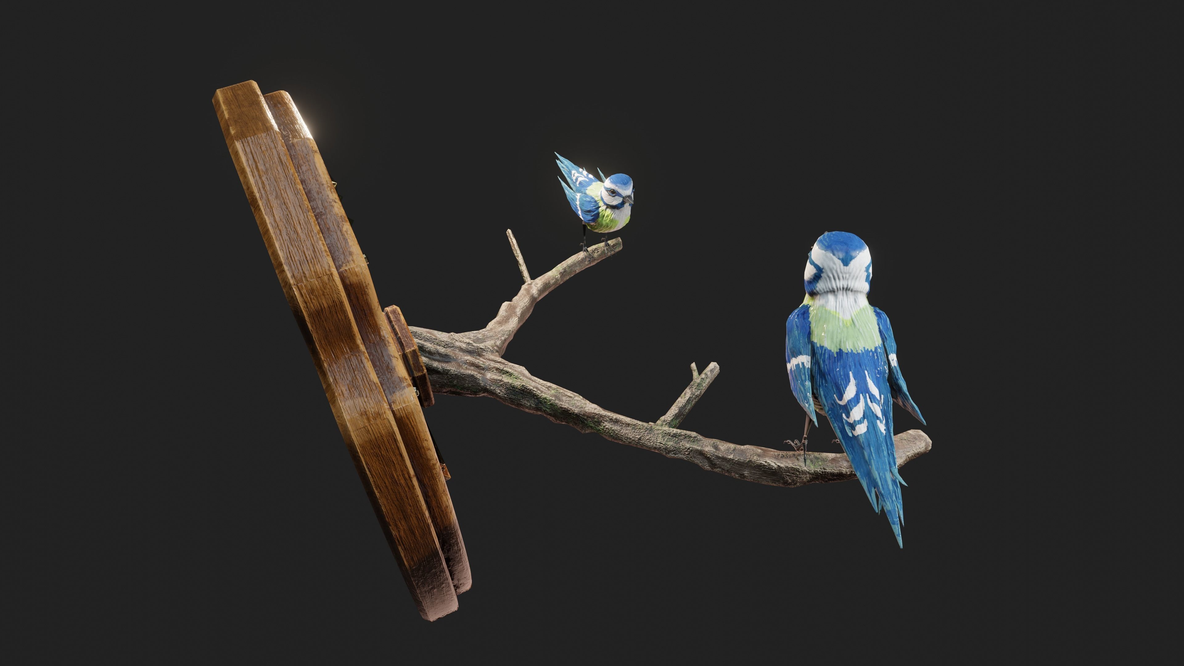 Stuffed Bird Wall Decoration  Low-poly 3D model_18