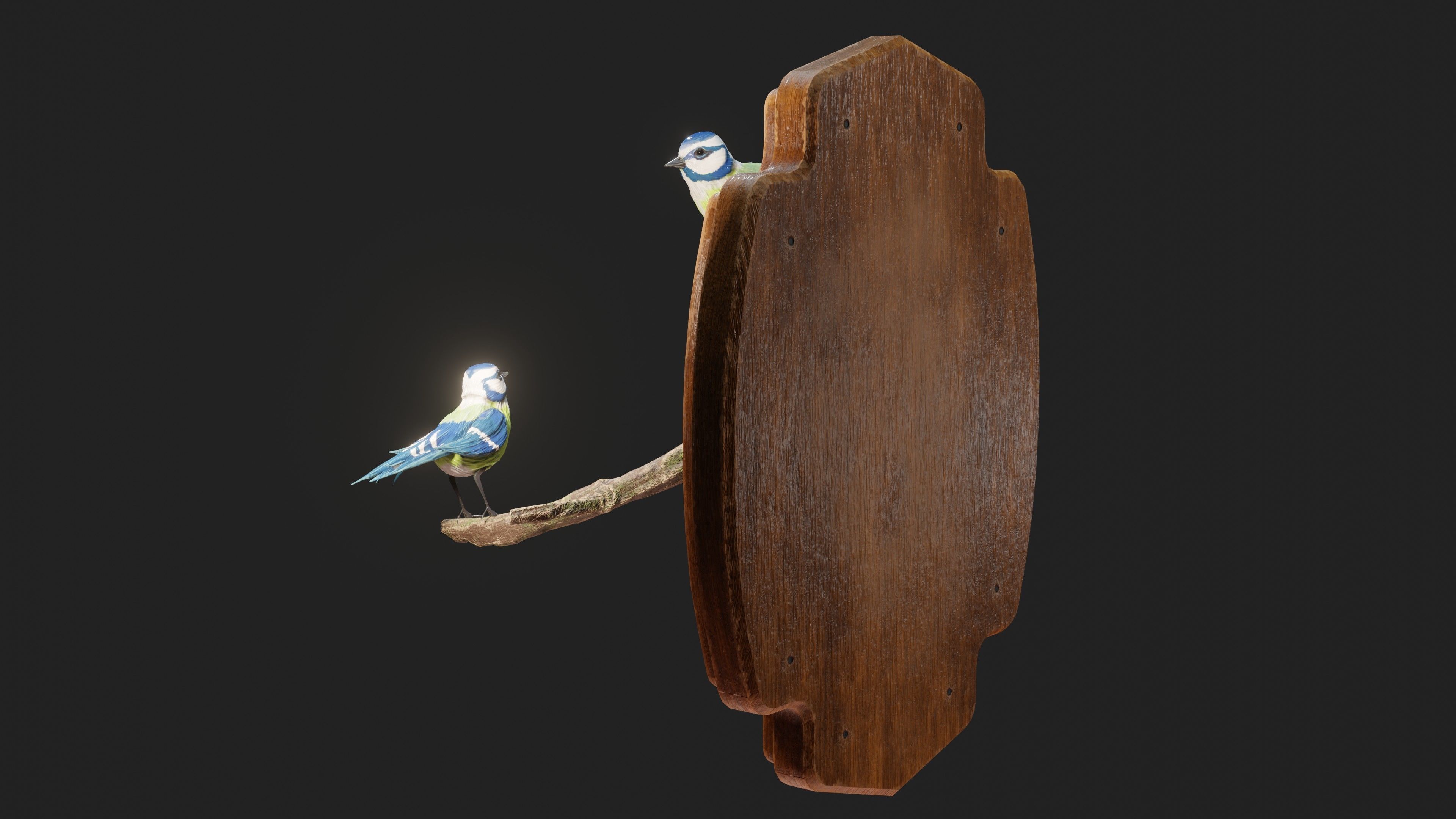 Stuffed Bird Wall Decoration  Low-poly 3D model_26