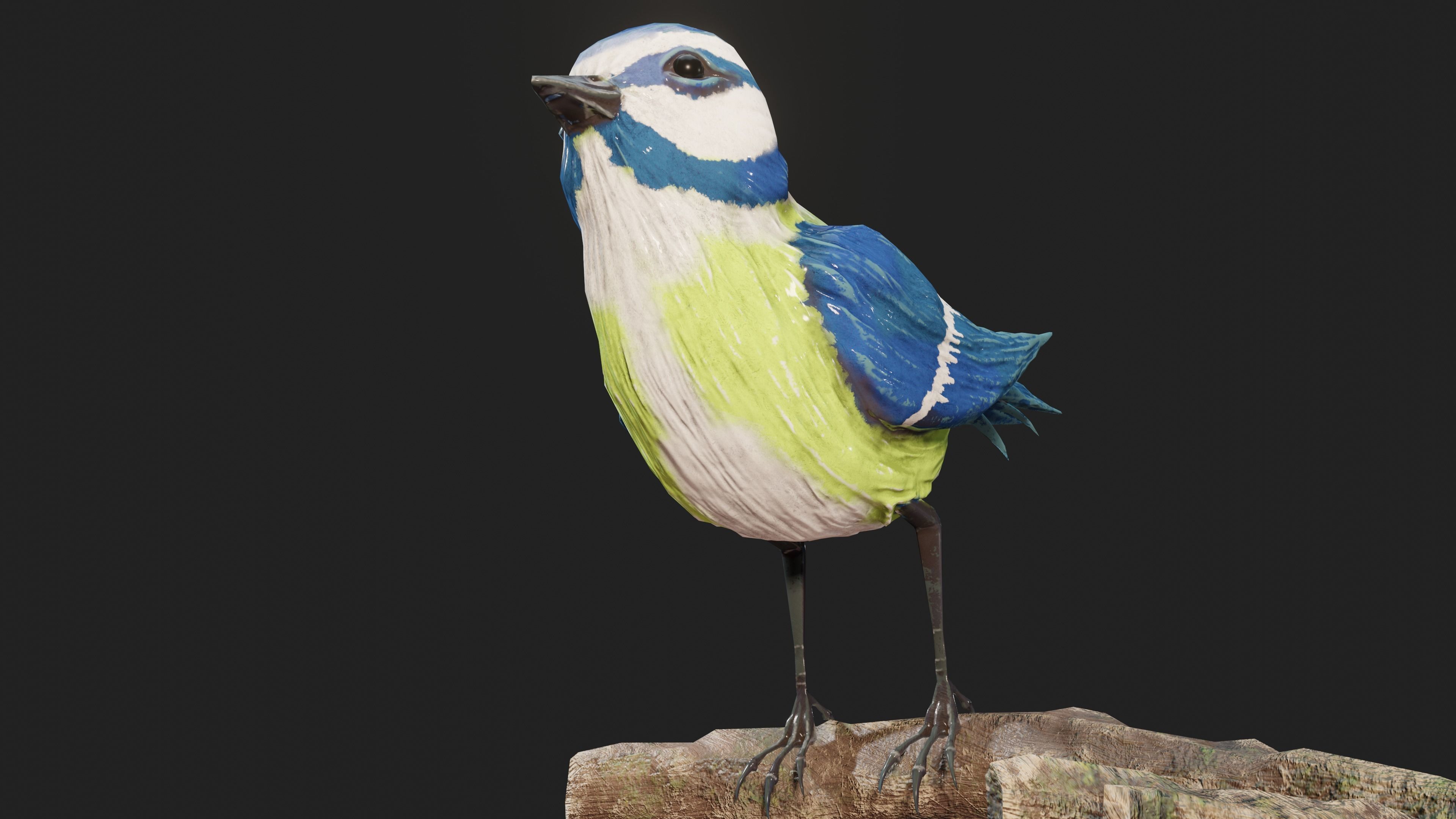 Stuffed Bird Wall Decoration  Low-poly 3D model_31