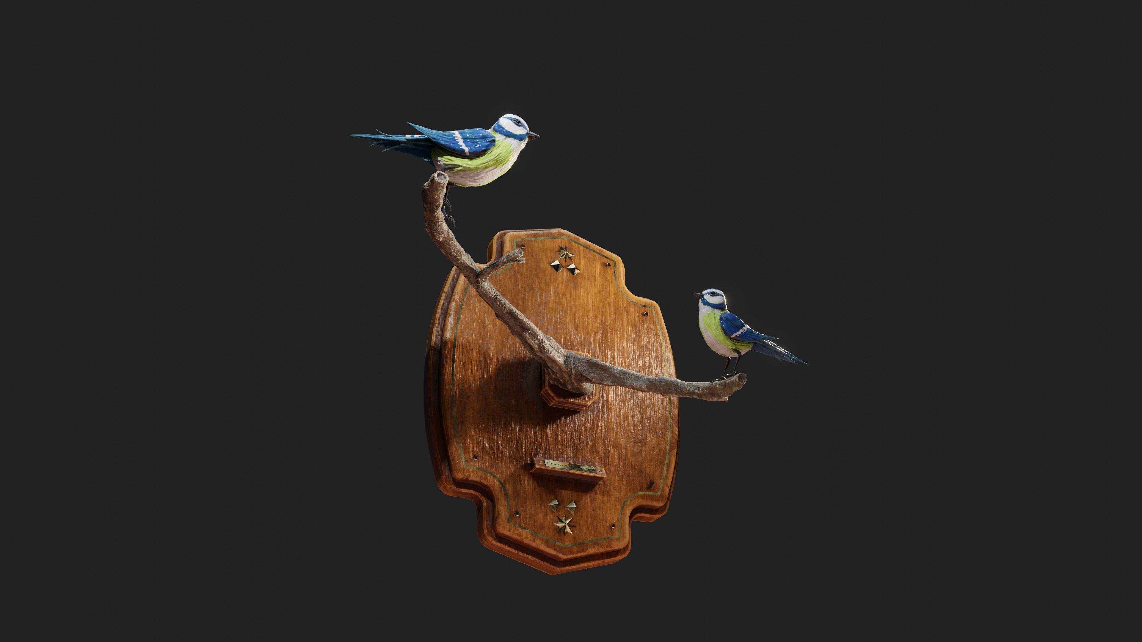Stuffed Bird Wall Decoration  Low-poly 3D model_4