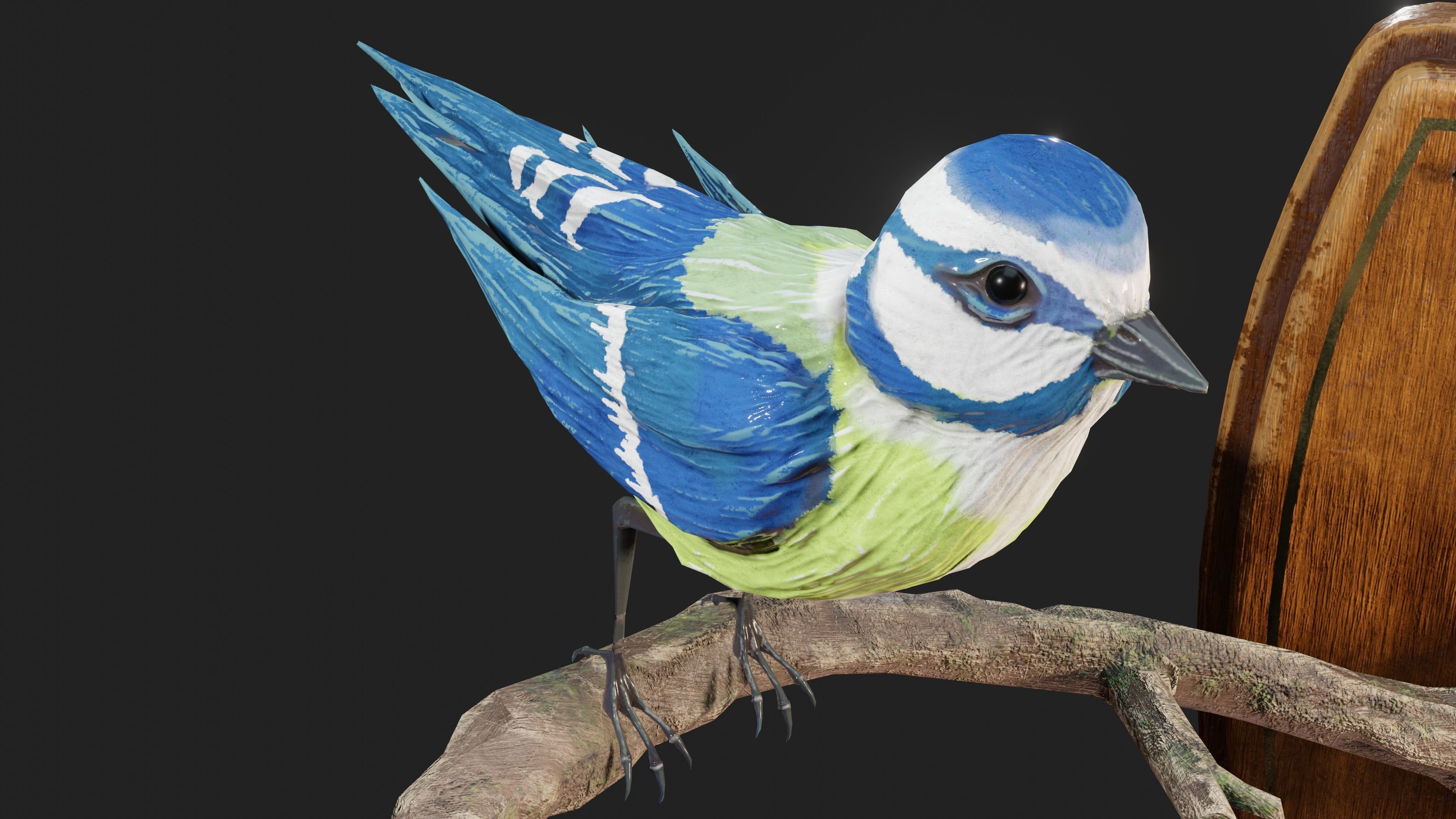 Stuffed Bird Wall Decoration  Low-poly 3D model_29