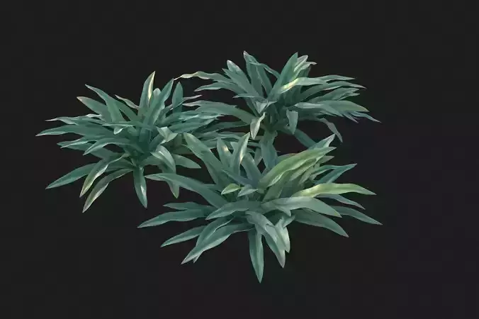 XfrogPlants Broad Leaf Sedge - Carex Platyphylla  3D model