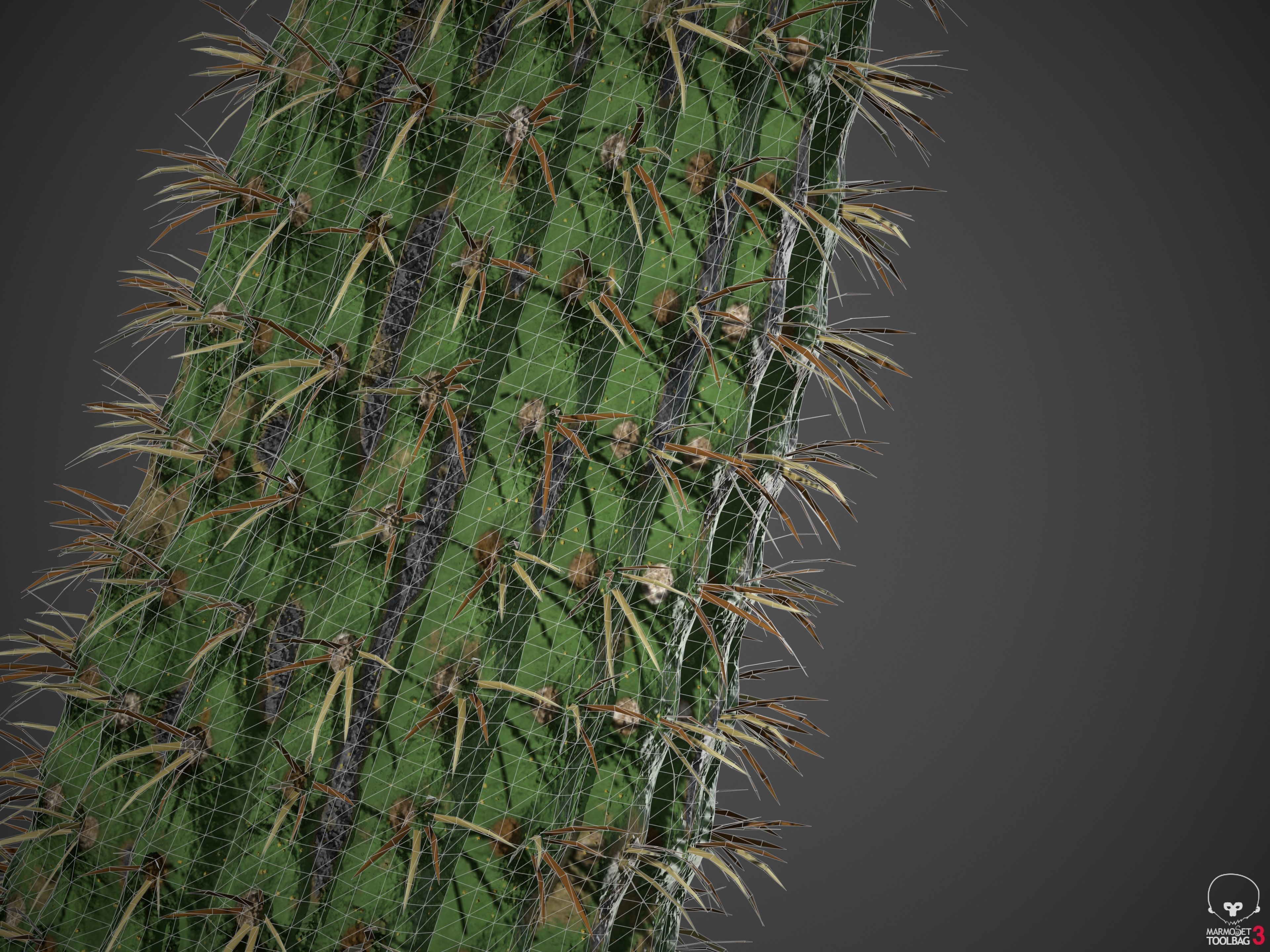 XfrogPlants Saguaro - Carnegiea Gigantea  3D model_7