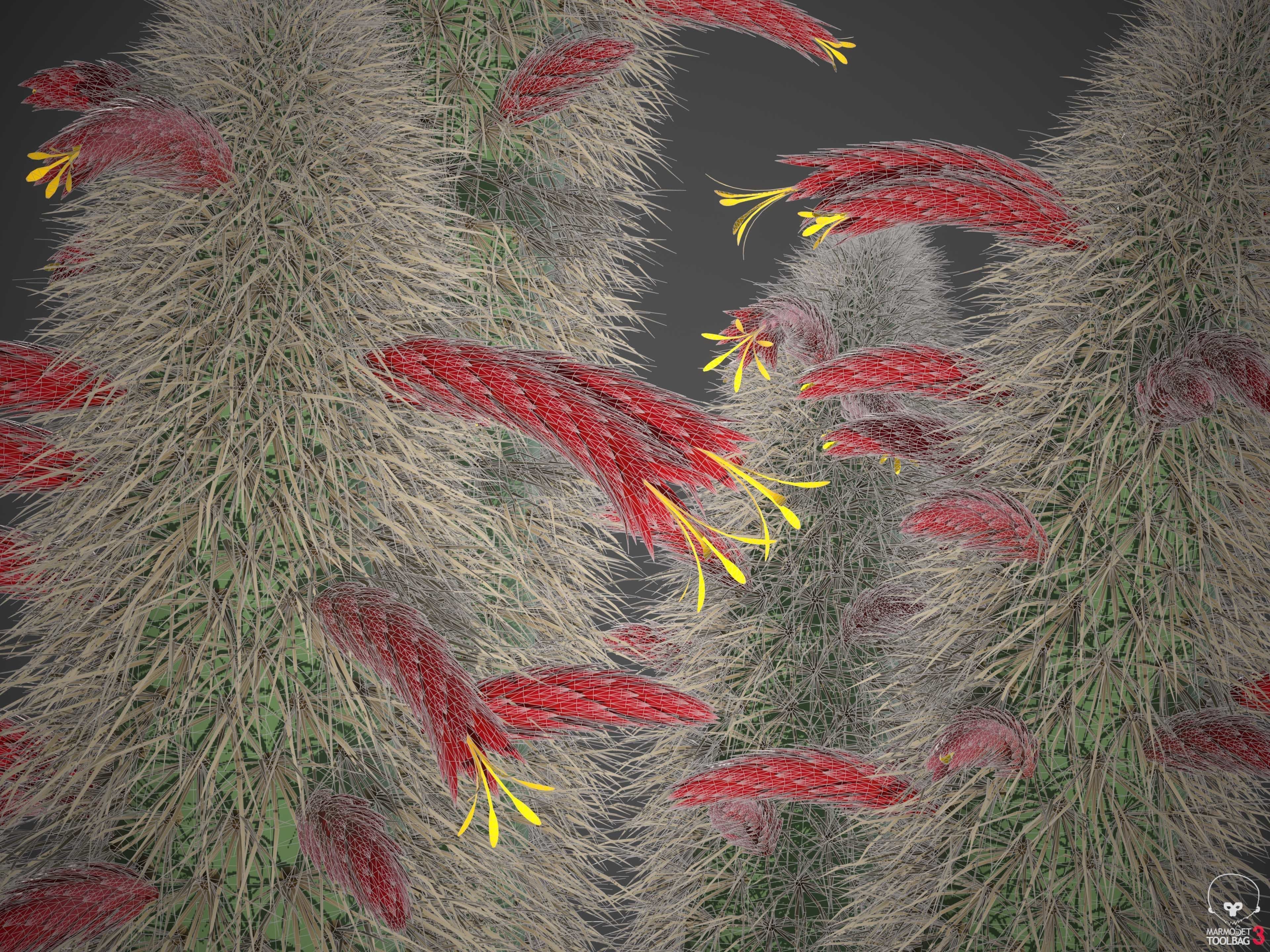 XfrogPlants Wooly Torch - Cleistocactus Strausii  3D model_6