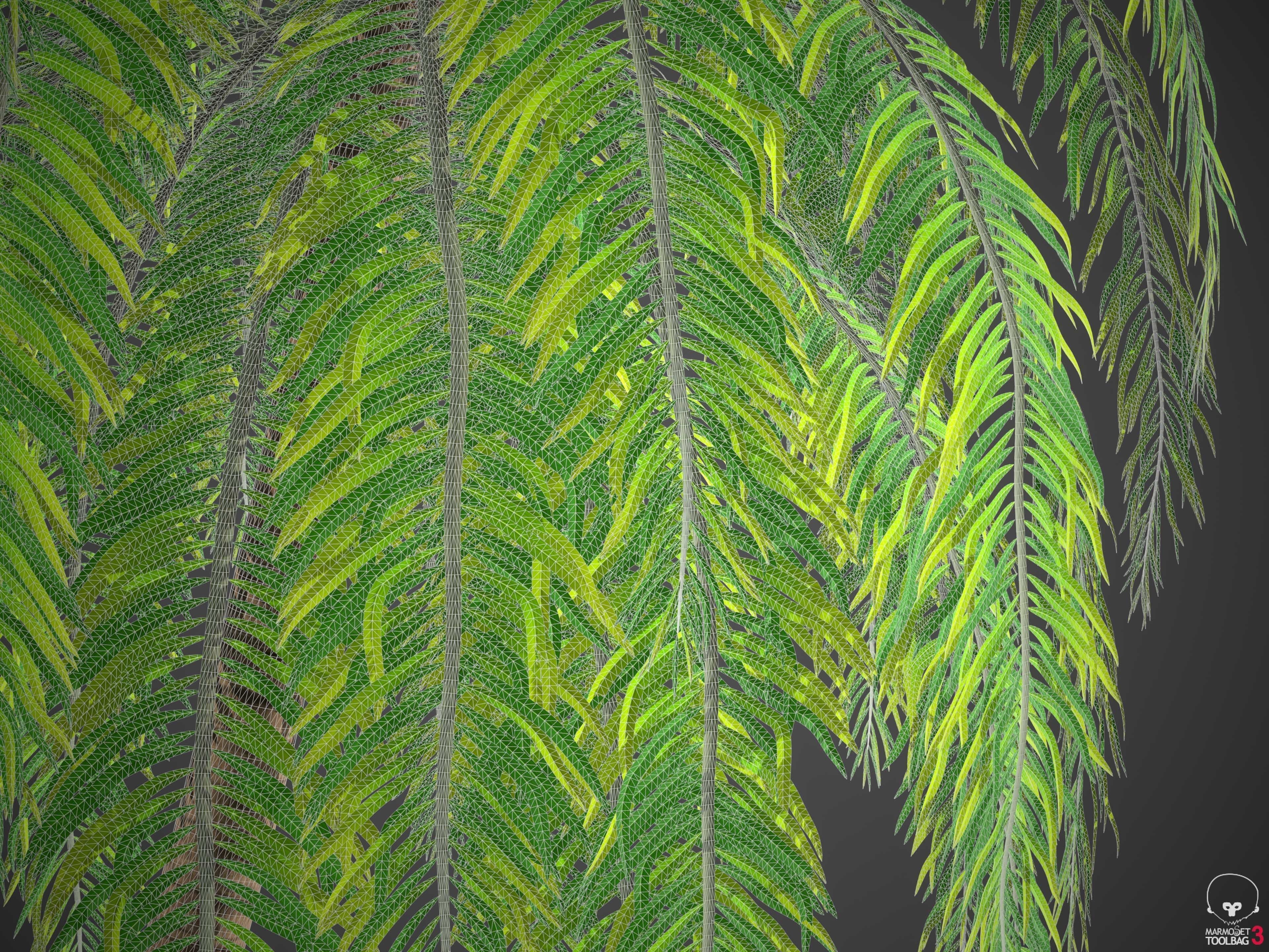 XfrogPlants Coconut - Cocos Nucifera 3D model_6