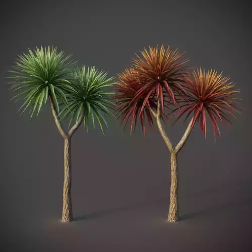 XfrogPlants Cabbage Tree - Cordyline Australis  3D model