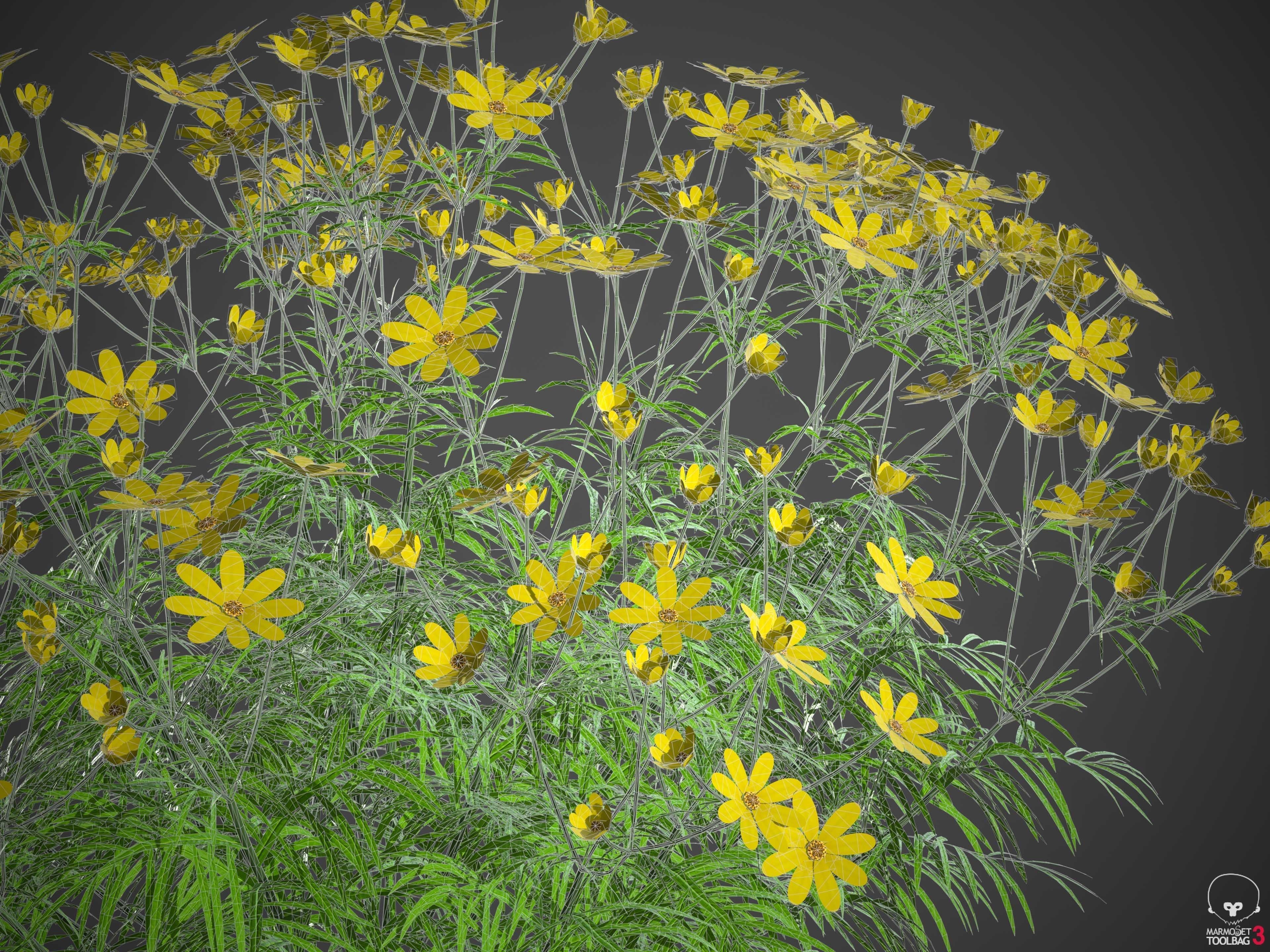 XfrogPlants Pot of Gold - Coreopsis Verticillata  3D model_5