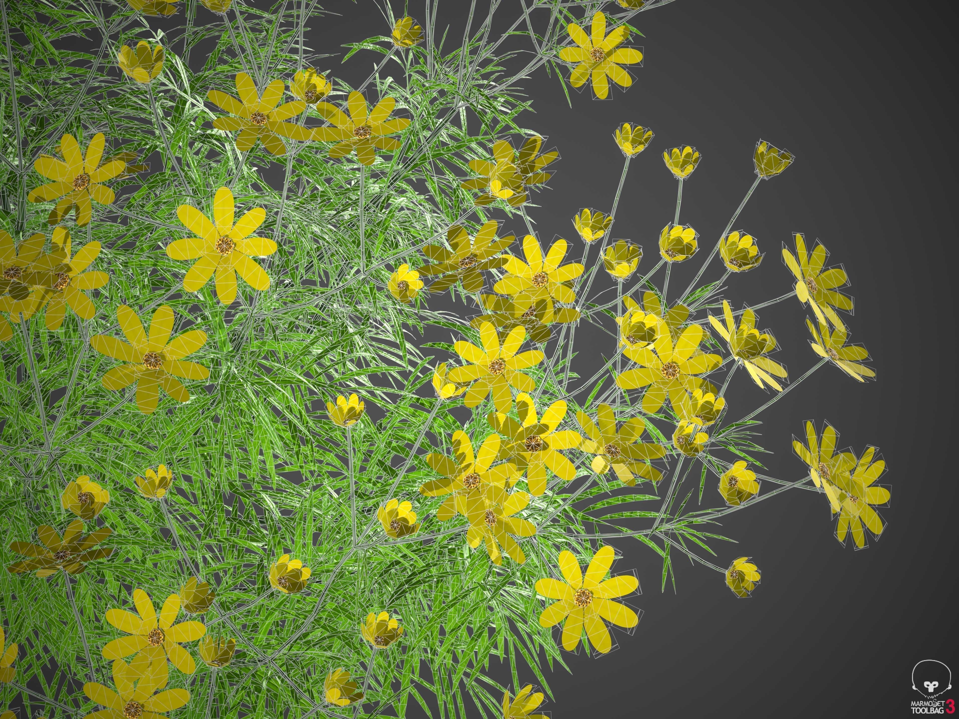 XfrogPlants Pot of Gold - Coreopsis Verticillata  3D model_4