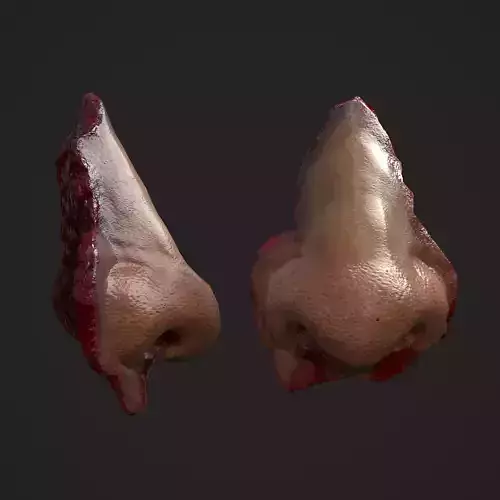 Severed Nose  Low-poly 3D model