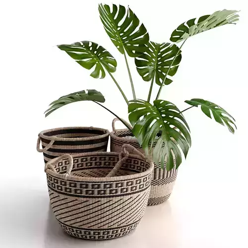 Baskets with monstera leaves