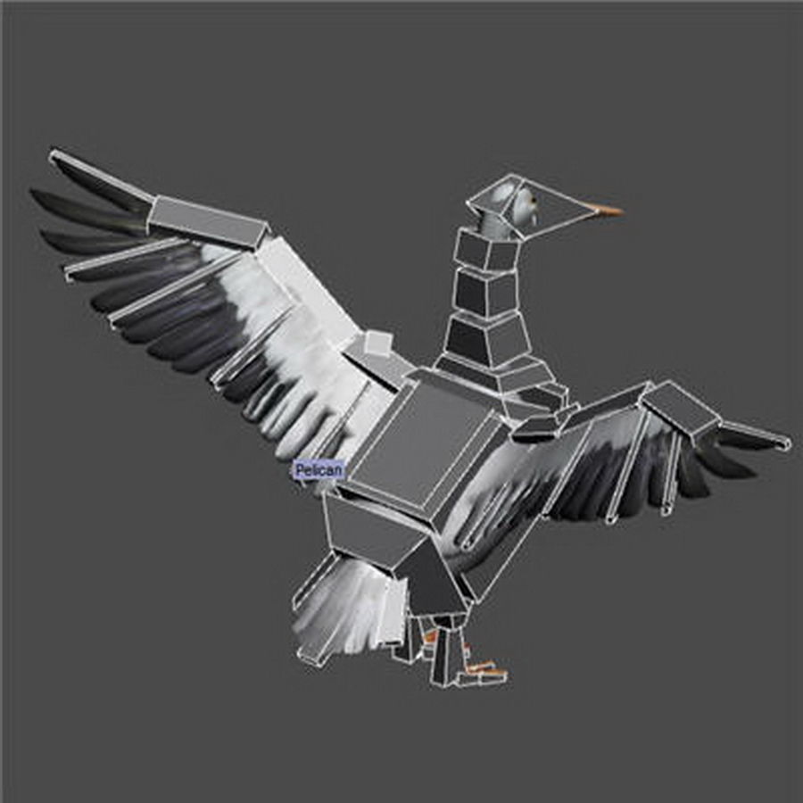 Animated Pelican 3D model_8