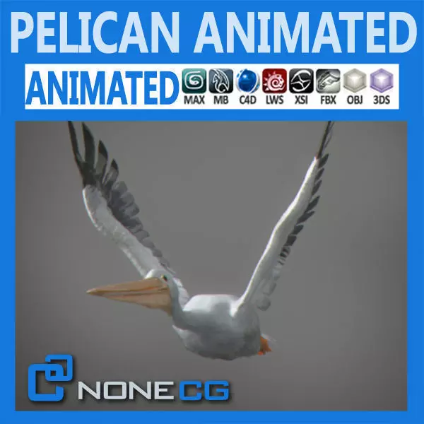 Animated Pelican 3D model_0